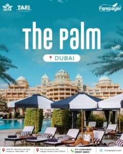 Luxury at The Palm
